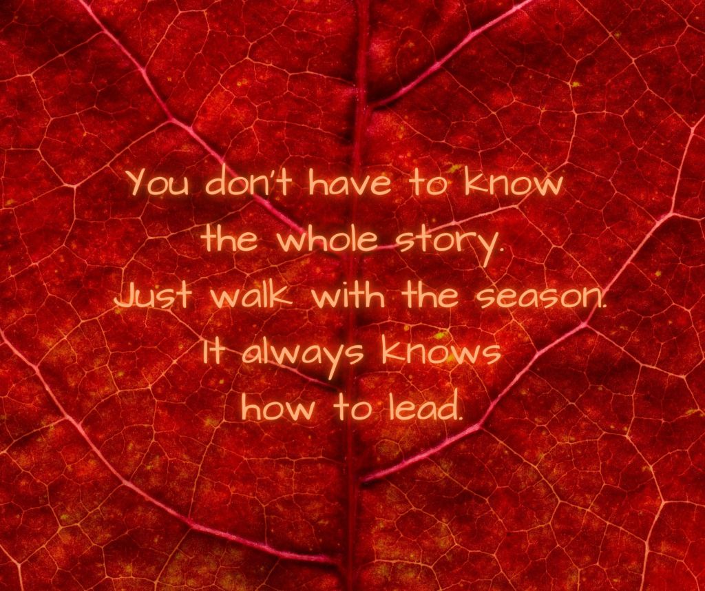Autumn leaf background with an inspirational quote about trusting the season.