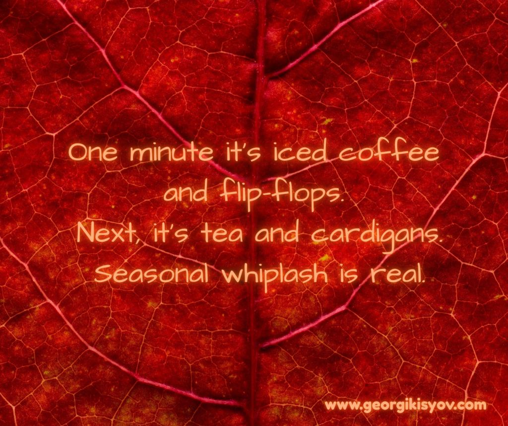 Autumn leaf background with funny seasonal quote about iced coffee, tea, and cardigans.