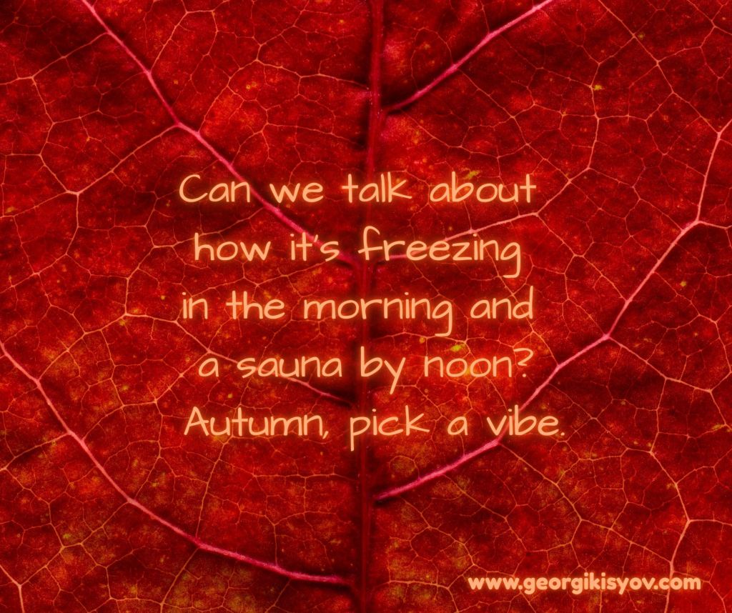 Autumn leaf background with a funny quote about freezing mornings and hot afternoons.