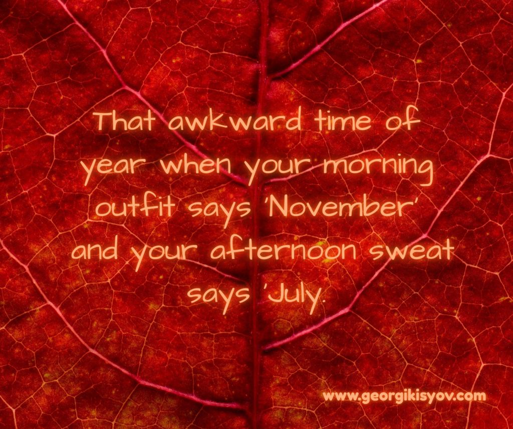 Autumn leaf background with a funny quote about November outfits and July afternoons.